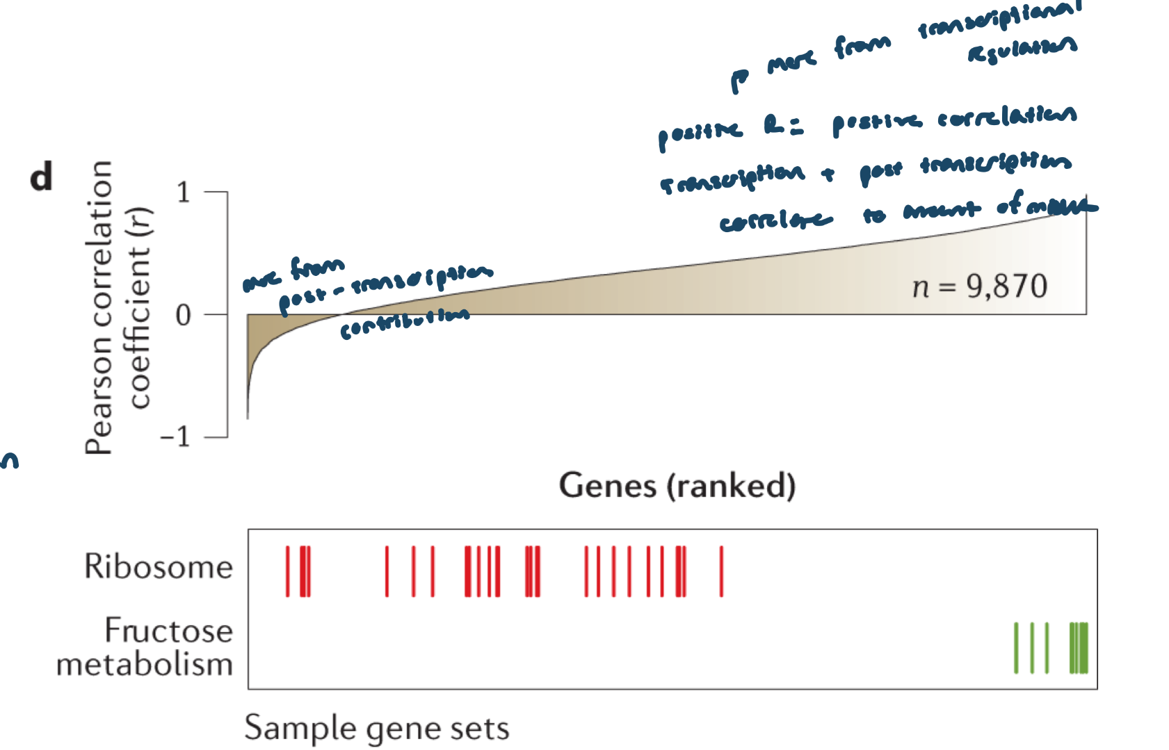 <ul><li><p>correlation for all genes across tissues; certain gene classes have higher RNA:protein correlation than others</p></li></ul><p></p>