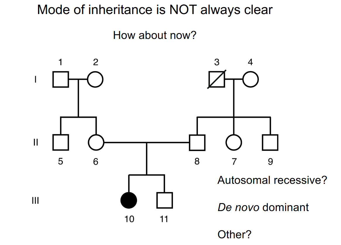 <p>Correct answer:</p><p>The mode of inheritance cannot be determined definitively from the pedigree alone.</p><p>Why each option remains possible:</p><p>A. Autosomal recessive: both unaffected parents could be carriers, allowing an affected child.</p><p>B. De novo dominant: a new dominant mutation could arise in the affected child.</p><p>C. Another mechanism: limited pedigree data or more complex biology could produce the same observation.</p><p>Lecturer explanation:</p><p>Rare disorders often provide too little family information to assign a mode confidently.</p>
