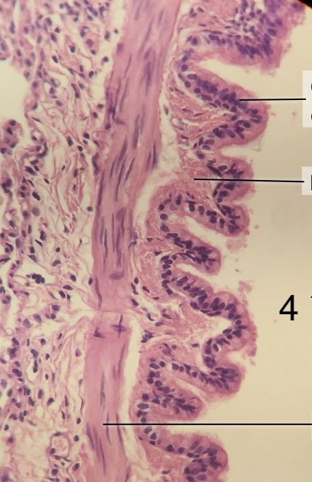 <p>Label the space 4</p>