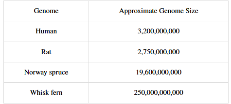 <p>As depicted in the table, certain plant genomes are significantly larger than mammal genomes, including the human genome. Why do these diploid plants have more DNA, but less organismal complexity compared with humans?</p>