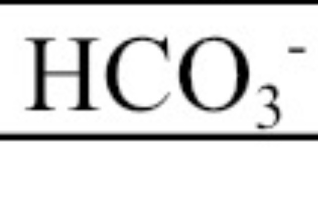 <p>(Hydrogen carbonate)</p>