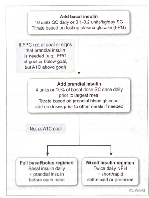 <p>Start basal (fasting) insulin first → if fasting glucose is not at goal or A1C is not at goal → add prandial insulin → if the patient is still not at A1C goals → full basal/bolus regimen OR mixed insulin regimen</p>