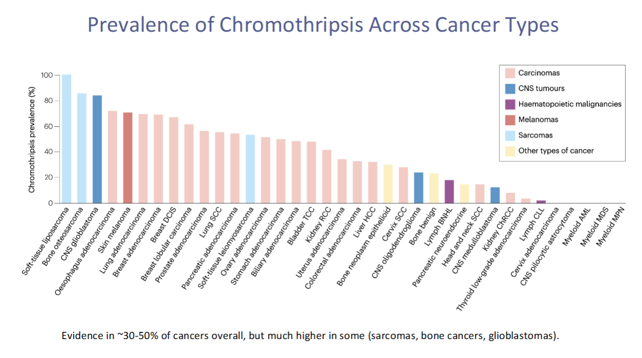 <p>SARCOMA = most common</p><p>Blastoma</p><p>then CARCINOMA</p>