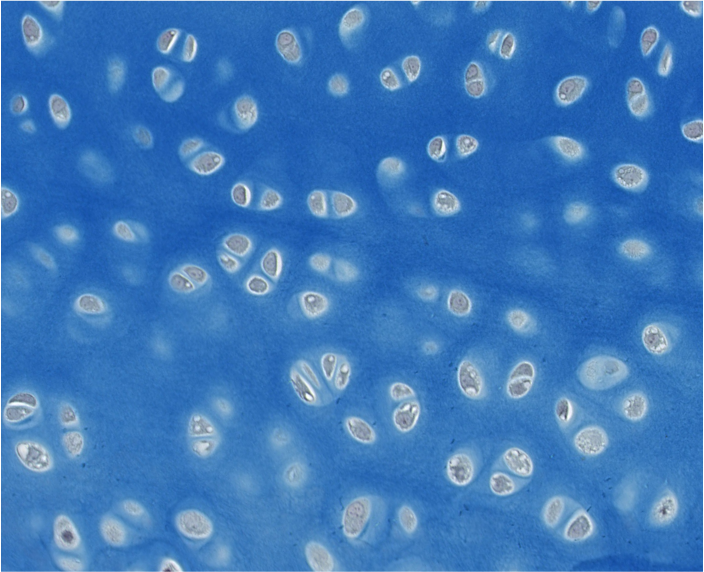<p><span style="font-family: "Calibri Light";">Which type of CT is this?<br>Be specific.</span></p>
