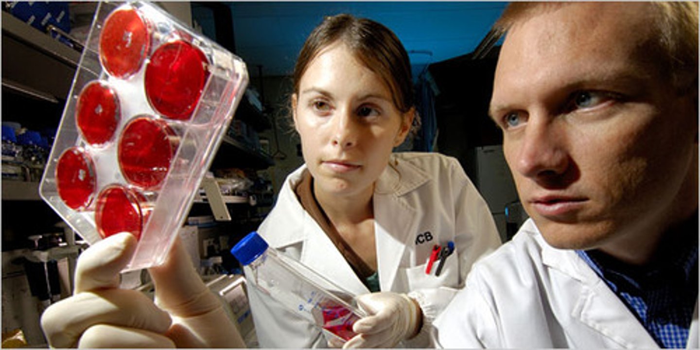 <p>investigación</p>