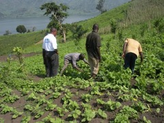 <p>The geographic theme that explores how people use, adapt to, and modify the environment</p>