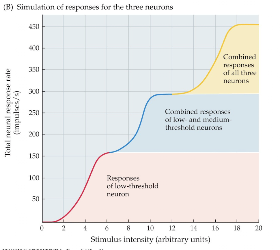 <p>What can you see here?</p>