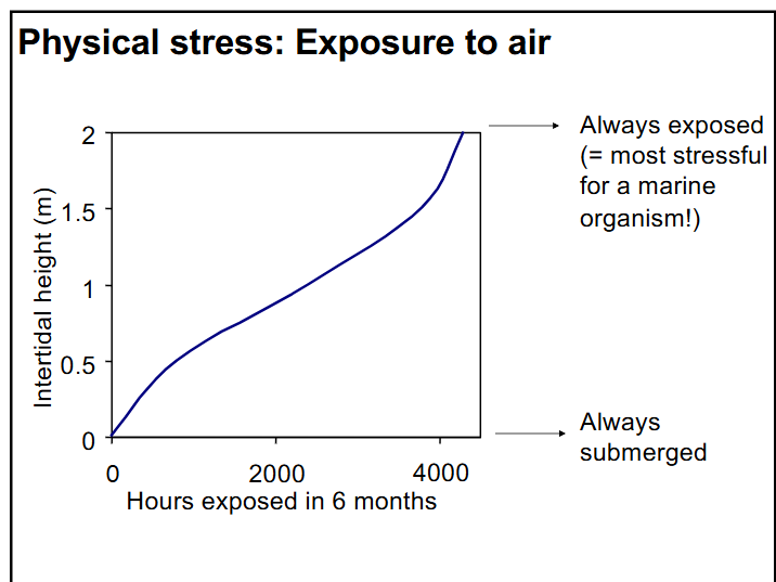 <p>how do marine organisms cope with exposure to air?</p>