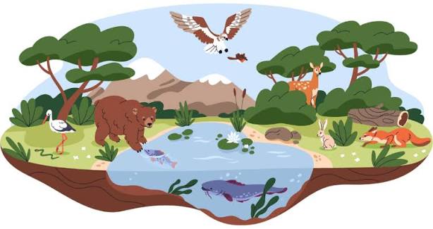 <p>ecosystem [ˈiːkəʊsɪstəm] = ecology [iˈkɒlədʒi]</p>