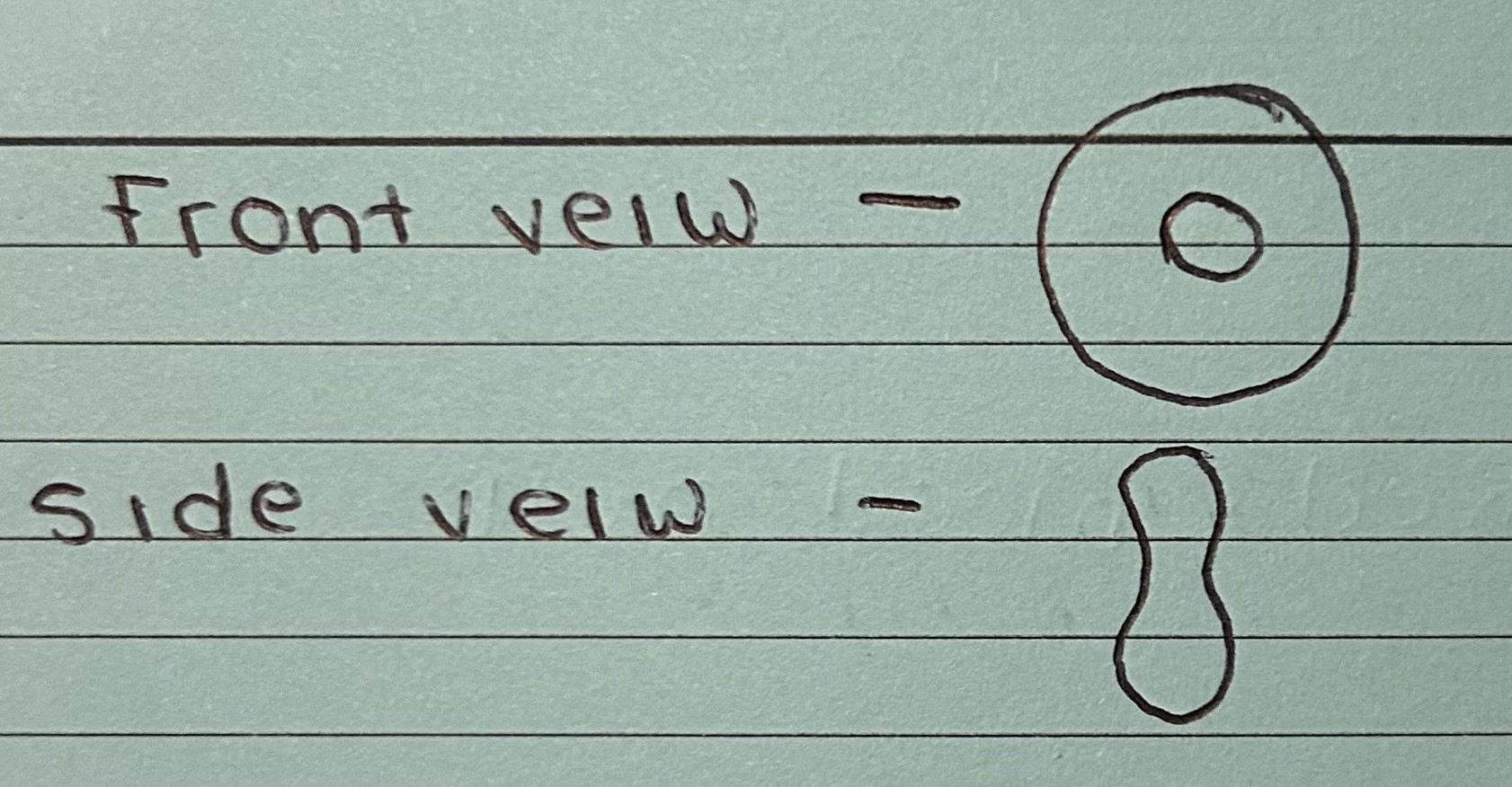 <ul><li><p>Red blood cells contain haemoglobin to carry oxygen</p></li><li><p>They have a large surface area for absorbing oxygen</p></li><li><p>No nucleus</p></li></ul><p></p>