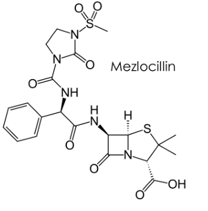 <p>[EXTENDED SPECTRUM PENICILLINS / ANTIPSEUDOMONAL PENICILLINS]</p><p>a. Carbenicillin</p><p>b. Ticarcillin</p><p>c. Piperacillin</p><p>d. Azlocillin</p><p>e. Mezlocillin</p>