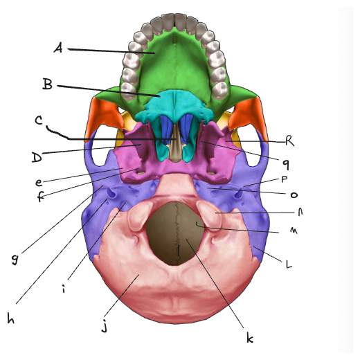 <p>under n</p>