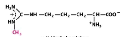 <p>What structure is this?</p>