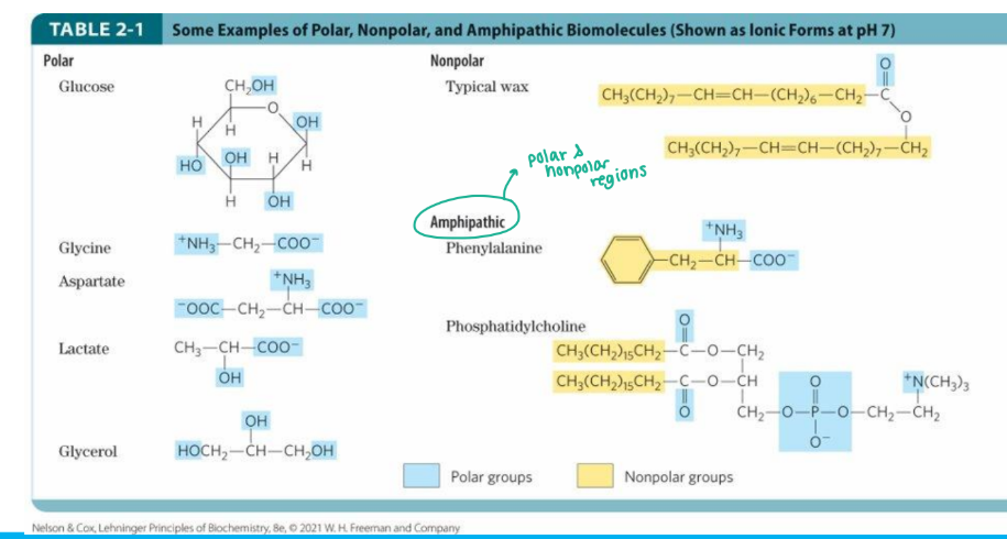 <p>Water interacts with <strong>Polar</strong>, <strong>Nonpolar </strong>and _________ Biomolecules → molecules that have polar and nonpolar regions. </p>
