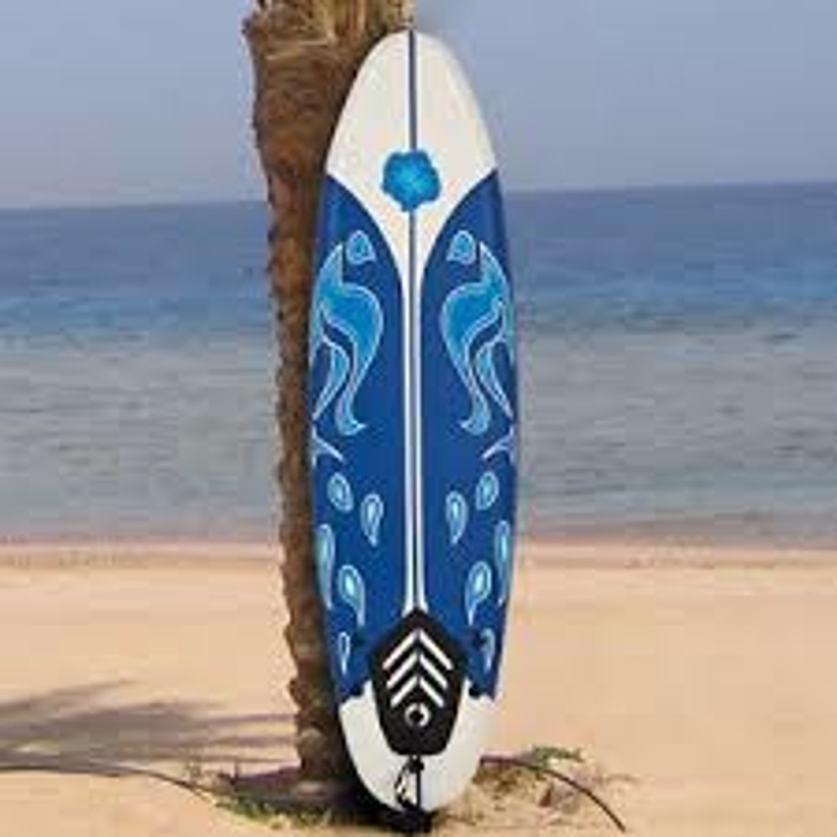 <p>une planche de surf</p>