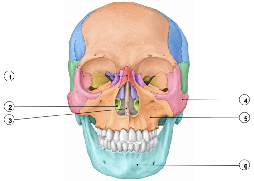 <p>#3</p>