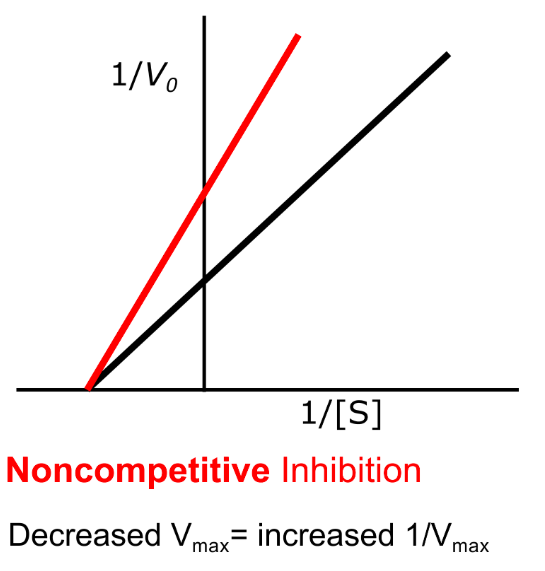 <ul><li><p>Vmax is reduced, so Y-intercept increases</p></li><li><p>Km is unchanged, so X-intercept is unchanged</p></li><li><p>Slope increases</p></li></ul><p></p>