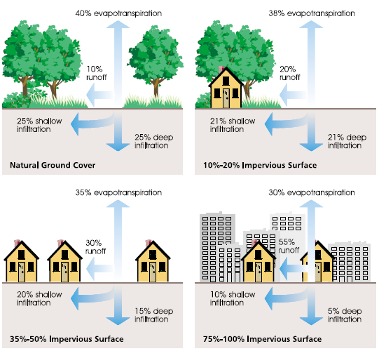 <p>The percentage of rainfall that becomes surface runoff; a high coefficient means more runoff and greater flooding potential.</p>
