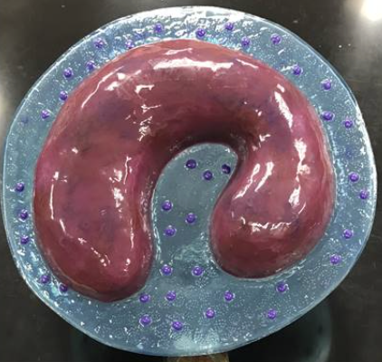 <p>What is this</p>