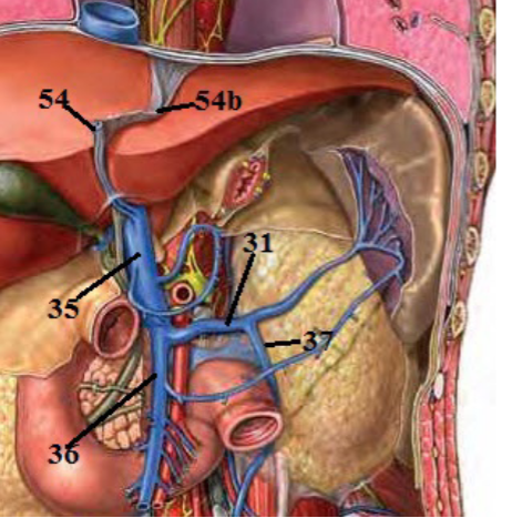 <p>Label these 6 structures</p>