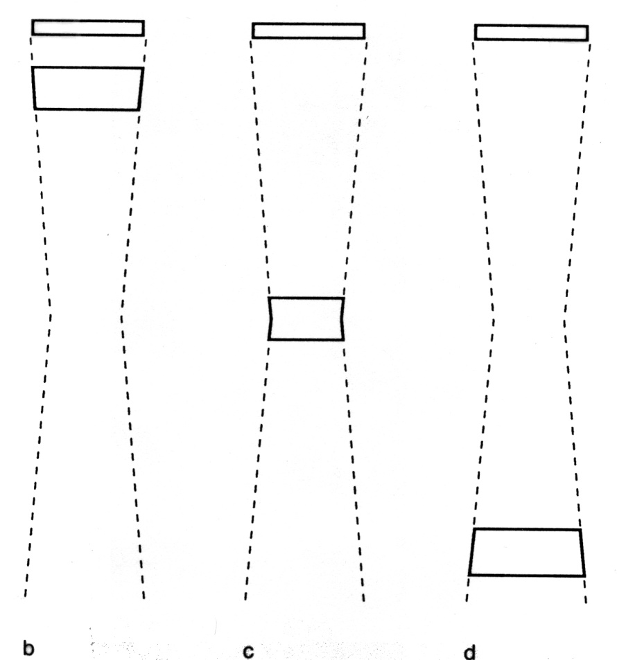 <p>What image is this ?</p>