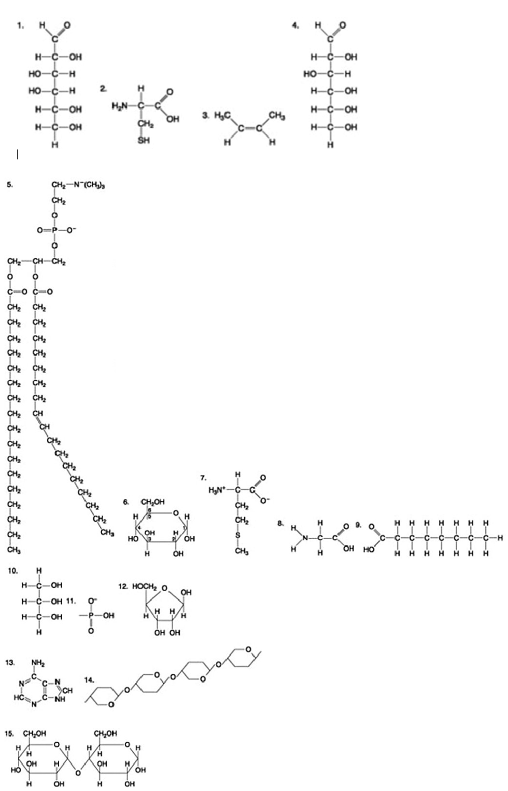 <p><span>The following question is based on the 15 molecules illustrated in the figures.</span></p><p>Which of the following molecules is the pentose sugar found in RNA?<br> </p><p>1</p><p> </p><p>12</p><p> </p><p>13</p><p> </p><p>6</p>