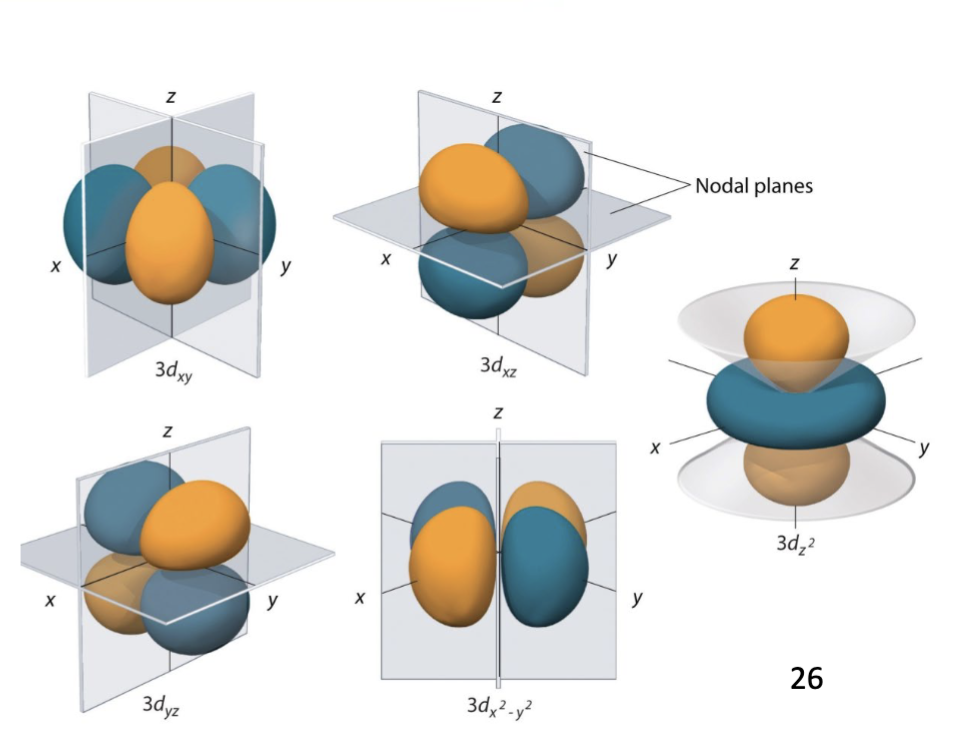 <p>have ℓ = 2</p><p>• shape: two dumbbells or a torus with a dumbbell</p><p>• have 5 orientations (mℓ = −2, −1, 0, +1, +2)</p><p>-can have up to 10 electrons </p><p>• There are five d orbitals in a shell</p><p>• have 2 angular nodes</p><p>• have n-3 spherical nodes</p>