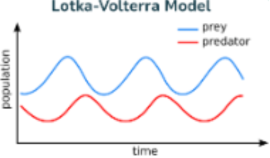 <ul><li><p><span style="background-color: transparent;">Explains <strong>predator-prey cycles</strong></span></p></li><li><p><span style="background-color: transparent;">Pattern:</span></p><ul><li><p><span style="background-color: transparent;">Low prey → predators decline</span></p></li><li><p><span style="background-color: transparent;">Low predators → prey increase</span></p></li><li><p><span style="background-color: transparent;">High prey → predators increase</span></p></li><li><p><span style="background-color: transparent;">High predators → prey decline</span></p></li></ul></li></ul><p><span style="background-color: transparent;">This repeating pattern allows <strong>coexistence</strong></span></p>