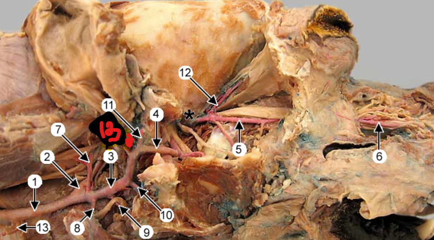 <p>3?</p>