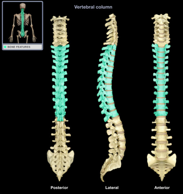 <p>What is the name of this structure?</p>