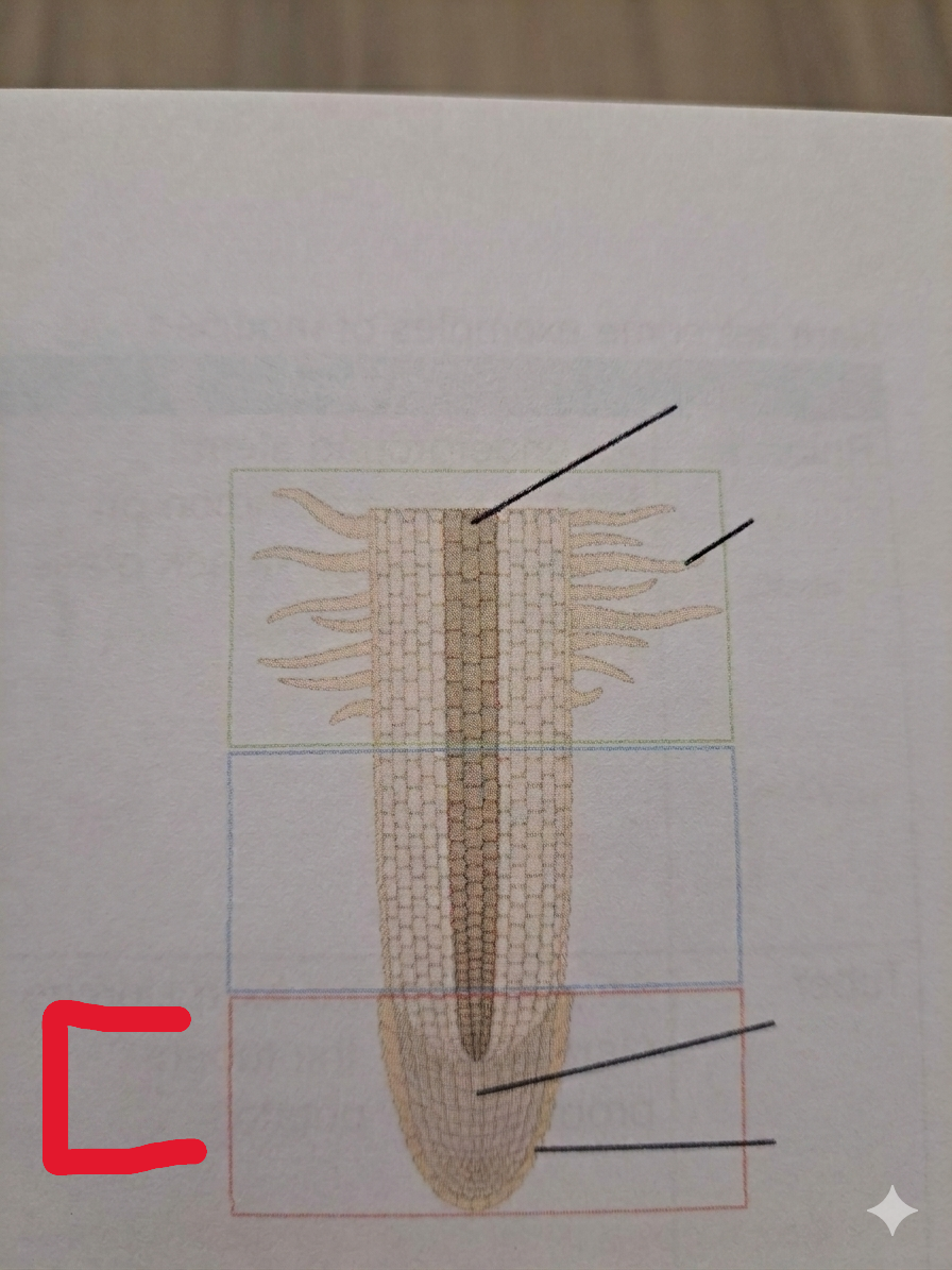 <p>What is this?</p>