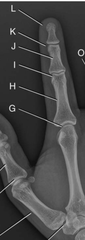 <p>I?</p>