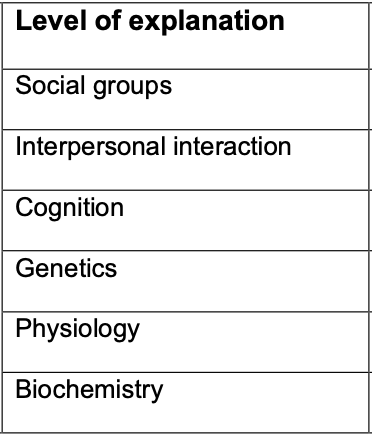 <p>Explain each level of explanation for SZ: </p>