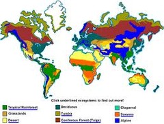 <p>group of ecosystems that share similar climates and typical organisms</p>