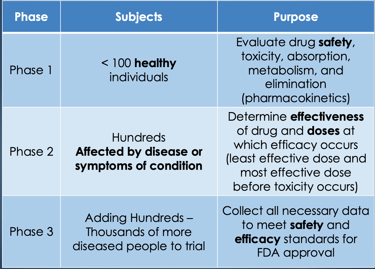 <p>Purpose of Phase 2</p>