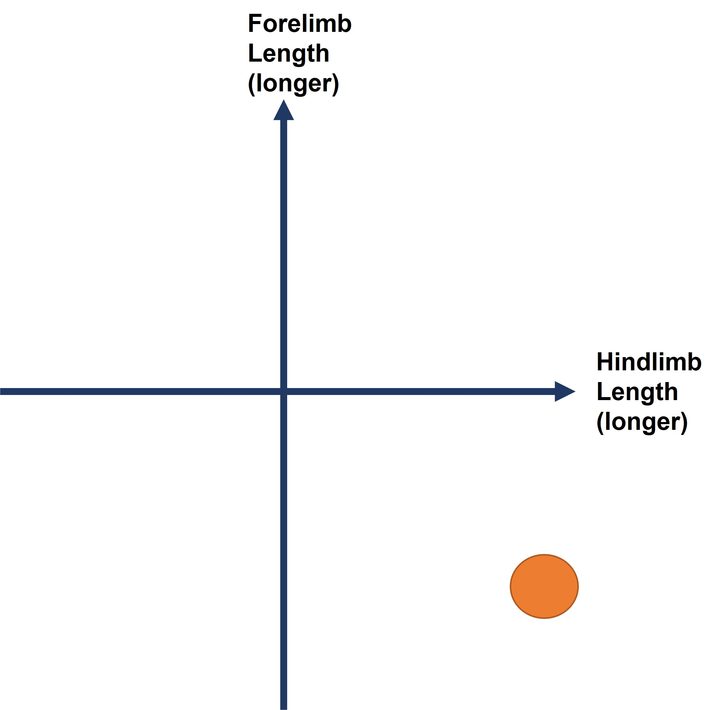 <p><span>What locomotion mode would you expect for a frog indicated by the orange circle? </span></p>