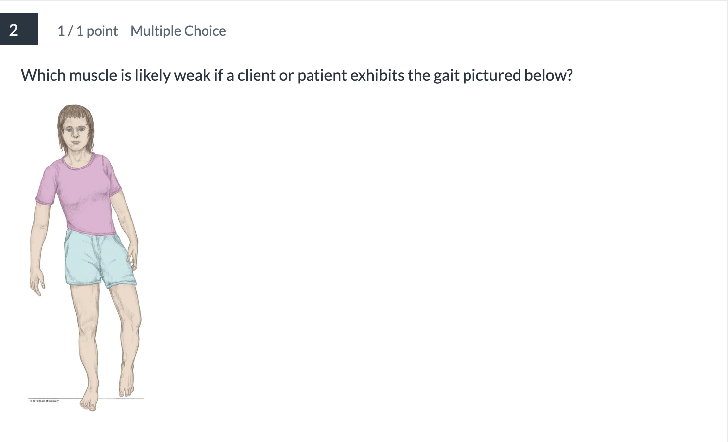 <p>Which muscle is likely weak if a client or patient exhibits the gait pictured below? </p>