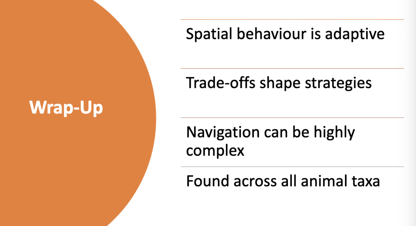 <p>info card wrap up </p>