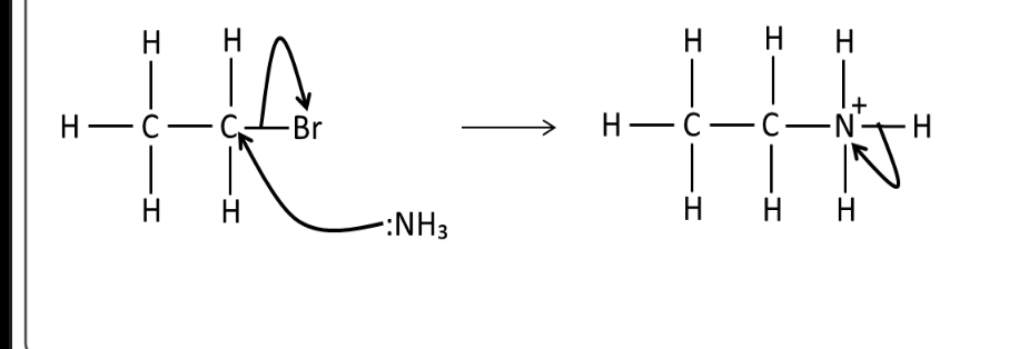 <p>The intermediate formed has an N+ atom, so electrons are transferred to it causing a hydrogen to be lost too.</p>