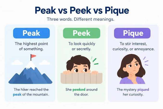 <p>(pick: châm, chính)<br>- pick one's curiosity/ interest: kích thích, khơi gợi<br>- in a fit of pique: trong một cơn giận dỗi/ tự ái<br>- piquant: cay nồng, kích thích<br></p>