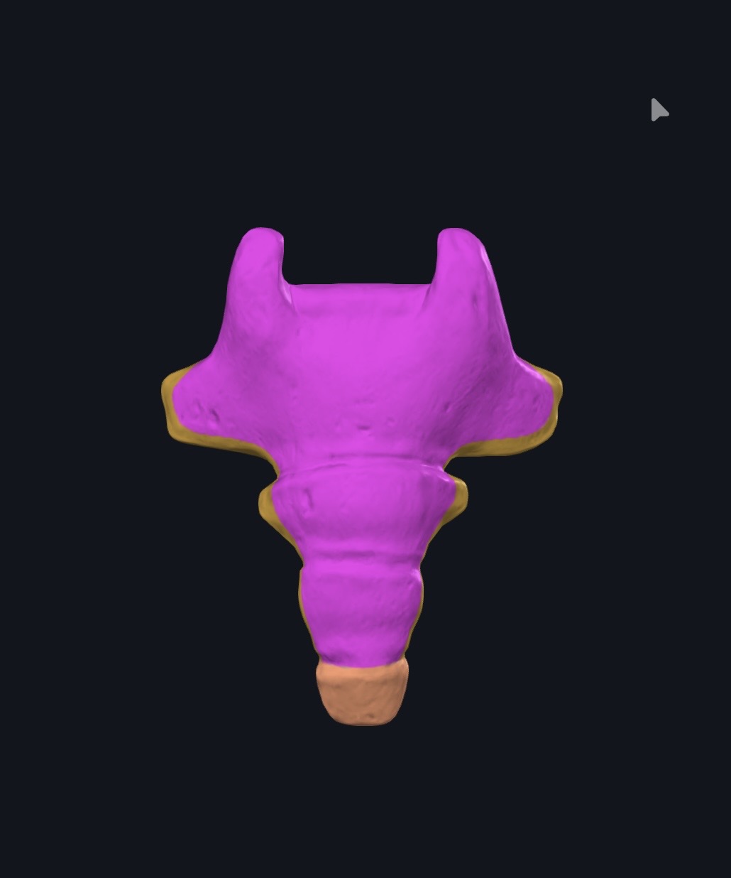 <p>¿Qué es esto?</p>