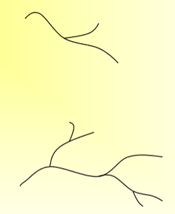 <p>side chains/branches of significant length are bonded to the main chain at branch points; essentially linear but w/ side chains/branches</p>