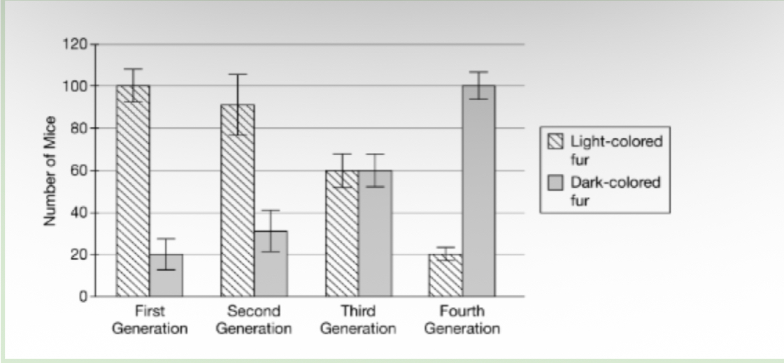 <p><span><span>Fur color is a genetically controlled trait in mice. A population of a species of mouse that typically lives in habitats with light-colored soil was studied for several generations. The background color of the habitat of this population became darker after the second generation due to human activity. A researcher sampled approximately 120 mice in each generation and recorded the fur color phenotypes as shown in Figure 1.</span></span></p><p><span><span>The researcher claims that there is no selective advantage to fur color, so light and dark fur color phenotypes are present in similar frequencies in the fourth generation of this mouse population. Based on the data in Figure 1, which of the following best evaluates this null hypothesis?</span></span></p>