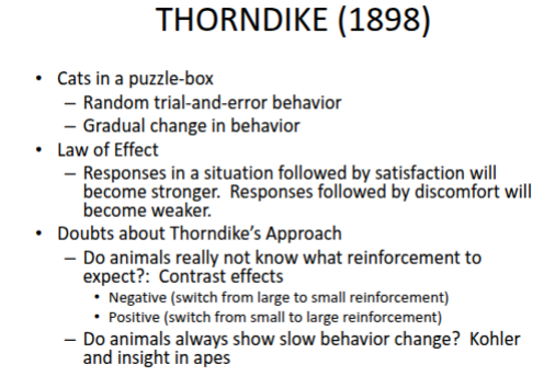 <p><strong>Contrast Effects</strong></p>