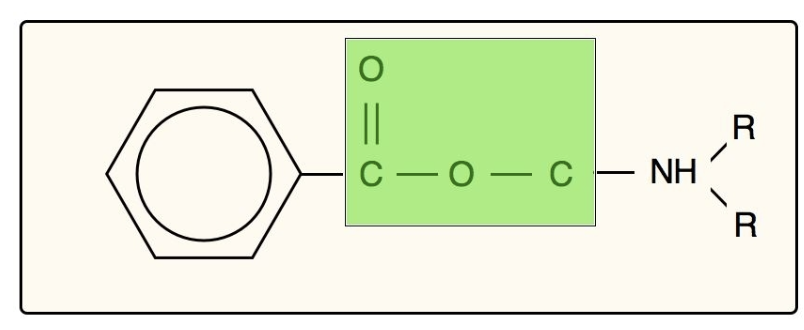 <p>B. Intermediate chain.</p><p>Aromatic ring confers lipid solubility </p><p>Intermediate chain determines metabolism, and allergic potential </p><p>Tertiary, amine, confers water solubility-this region ionizes. </p><p>Allergic reactions are more common with the ester-based local anesthetics</p>