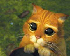 <p>Entschuldigung</p>