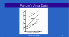 <p>Panum's Area Data (Pic)</p>