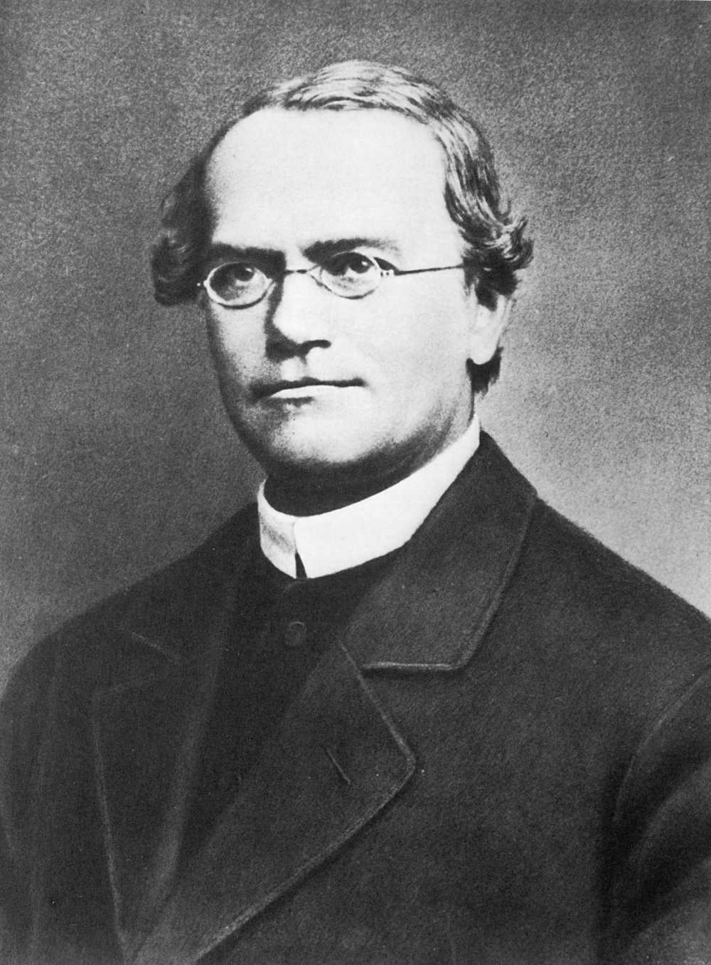 <p>Gregor Mendel</p>