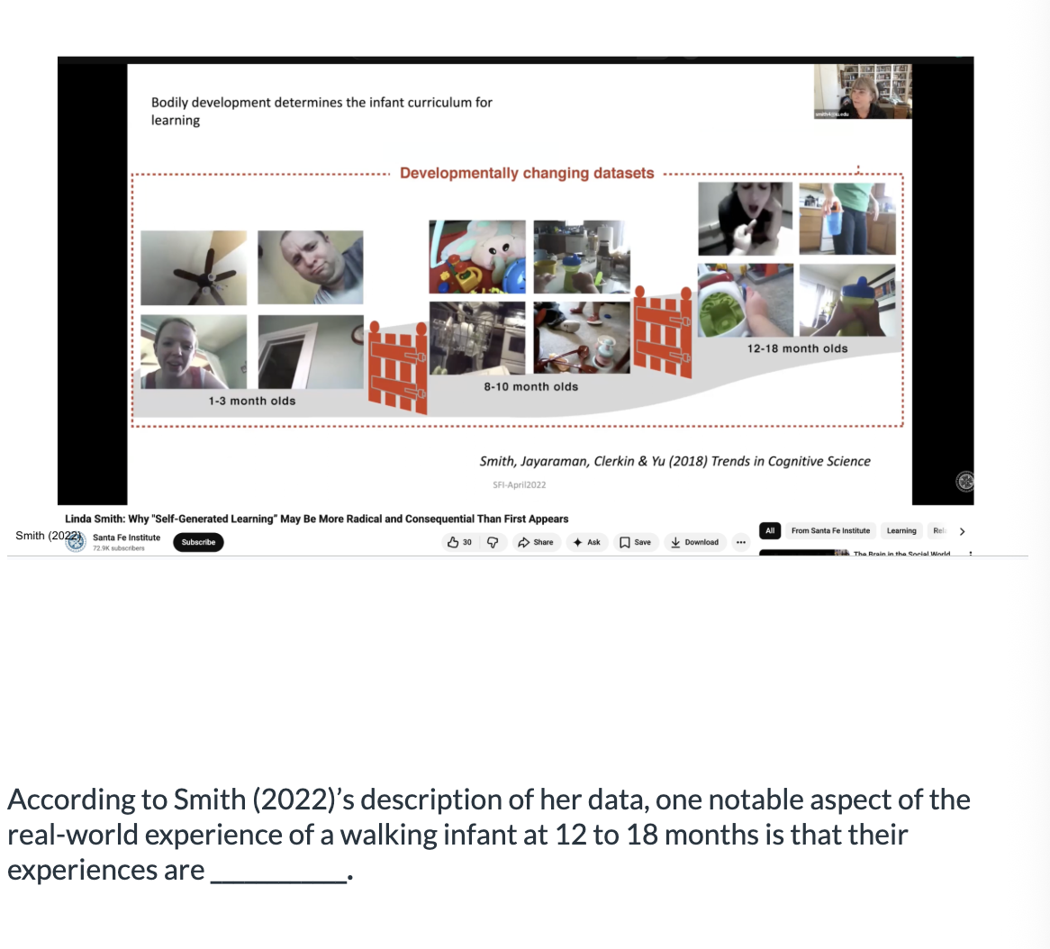 <ol><li><p>dense with hands </p></li><li><p>dense with faces </p></li><li><p>BOTH</p></li></ol><p></p>