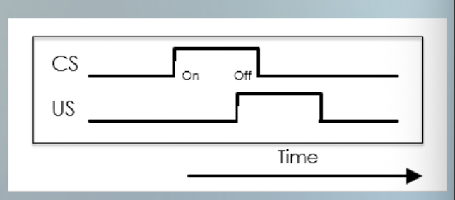 <ul><li><p>CS comes before the US </p><ul><li><p>some overlap </p></li></ul></li><li><p>e.g. the bell rings before the food is presented </p></li><li><p>most effective </p></li></ul><p></p>